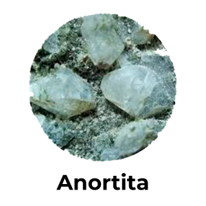Anortita